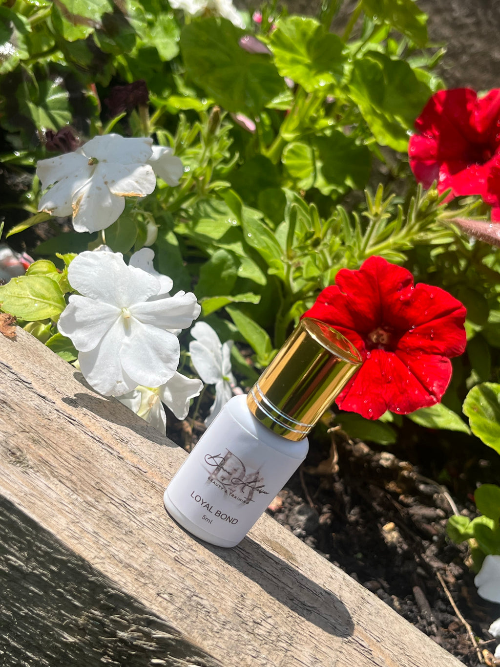 Loyal Bond Lash Adhesive