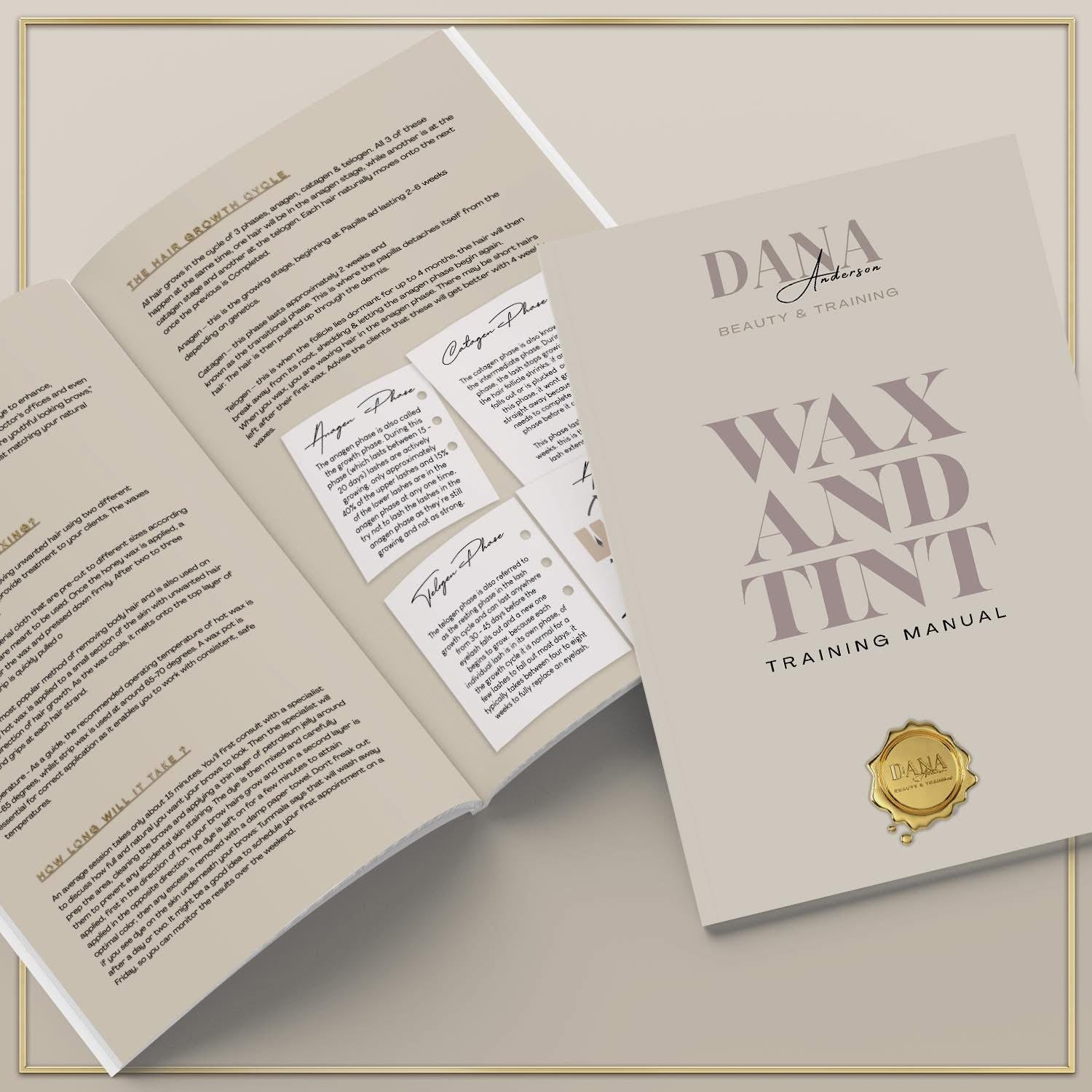 Eyebrow Shape & Tint Manual